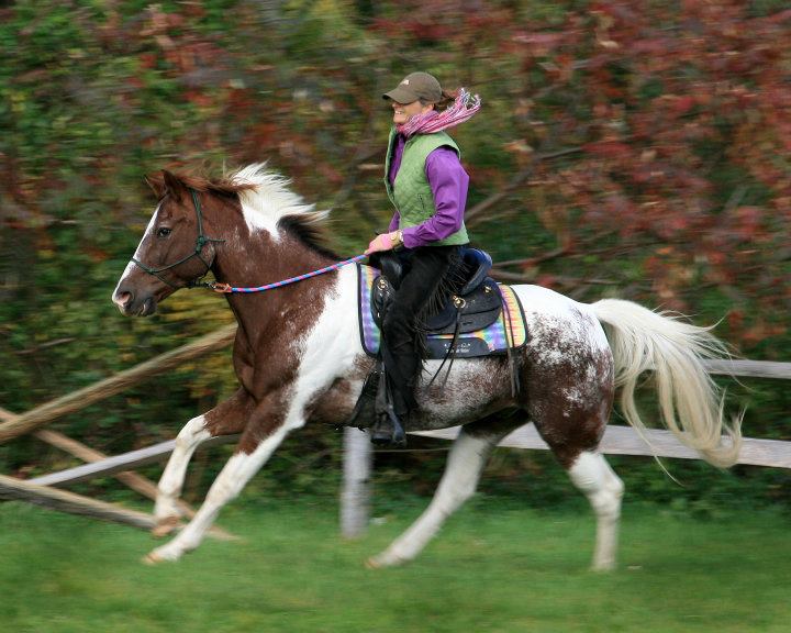 naturalHorsemanship_002