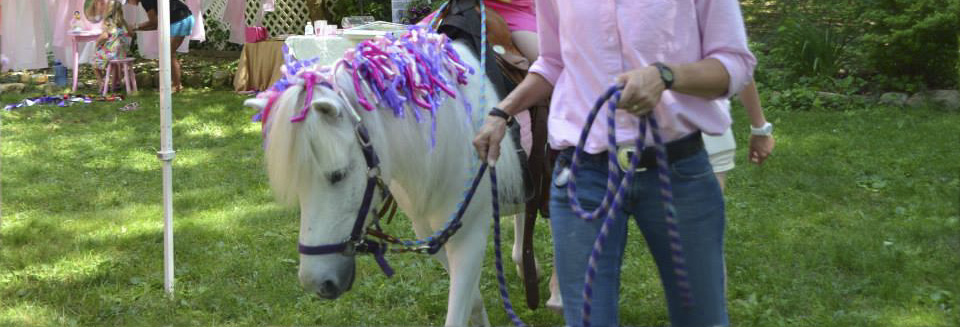ponyParty_004